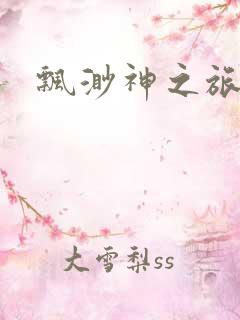 飘渺神之旅续集