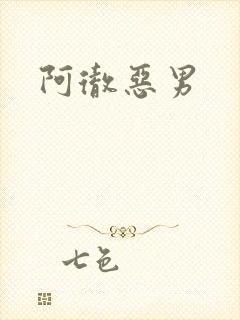 阿彻恶男