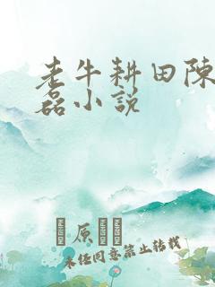 老牛耕田陈雪王磊小说