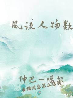风流人物数当代