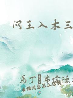 网王入木三分