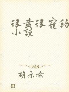 很黄很宠的总裁小说