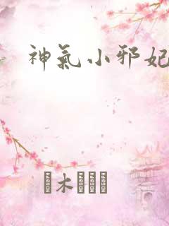 神气小邪妃