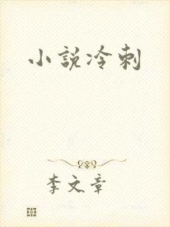 小说冷刺