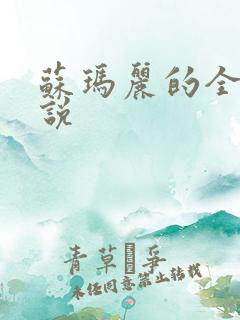 苏玛丽的全部小说