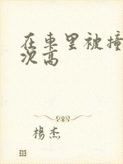 在车里被撞了八次高