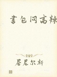 书包网高辣文