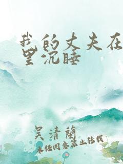 我的丈夫在冰箱里沉睡