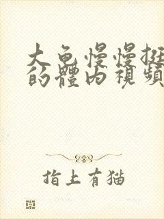 大龟慢慢挺进我的体内视频