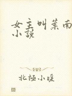 女主叫叶南初的小说