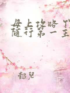 母上攻略 竹影随行第一主板