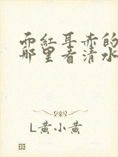 面红耳赤的小说哪里看清水村花