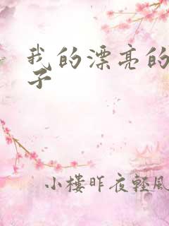 我的漂亮的小姑子