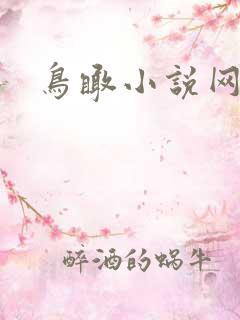 鸟瞰小说网