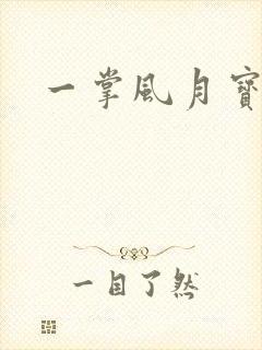 一掌风月宝鉴