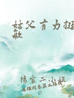 姑父有力挺送赵敏