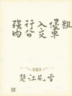 强行入侵粗暴h肉公交车