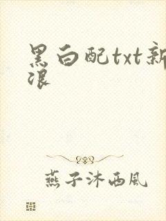 黑白配txt新浪