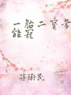 一胎二宝爹地超能宠