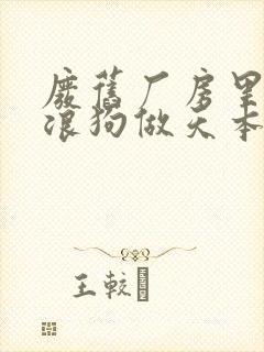 废旧厂房里和流浪狗做天本