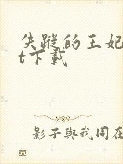 失踪的王妃txt下载