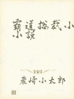 霸道总裁小娇妻小说