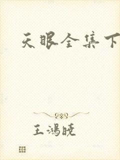 天眼全集下载