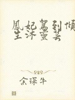 凤妃驾到倾倒众生沐灵芸