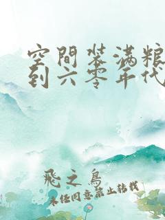 空间装满粮食回到六零年代