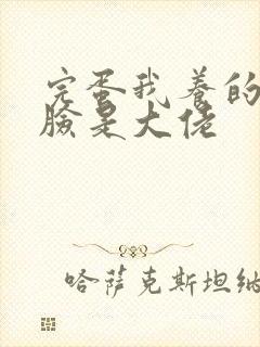 完蛋我养的小白脸是大佬