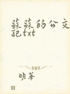 苏苏的公交车日记txt