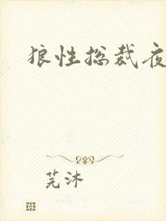 狼性总裁夜欢宠