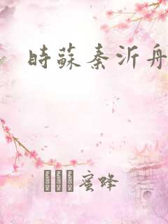 时苏秦沂舟小说