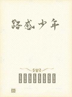 路感少年