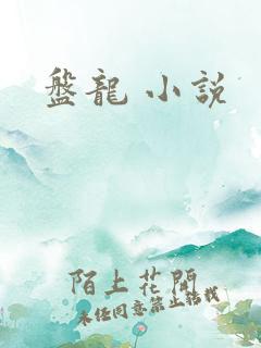 盘龙 小说