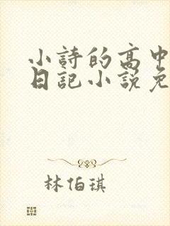 小诗的高中成长日记小说免费阅读
