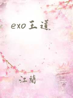 exo王道