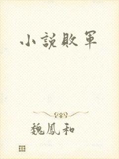 小说败军