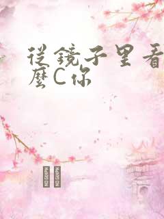 从镜子里看我怎么C你