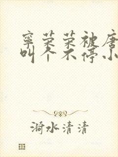 宁荣荣被唐三桶叫个不停小说