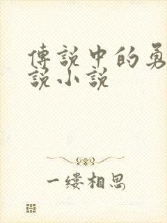 传说中的勇者传说小说