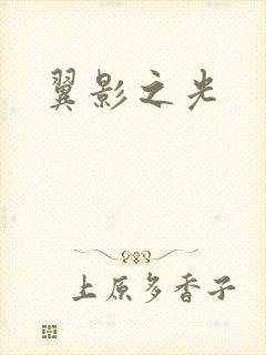 翼影之光