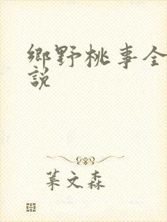 乡野桃事全文小说