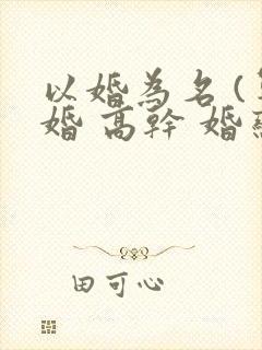 以婚为名 (军婚 高干 婚恋)