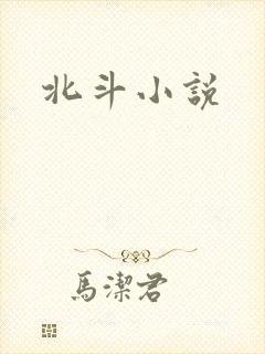 北斗小说