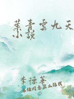 叶青云九天玄宗小说