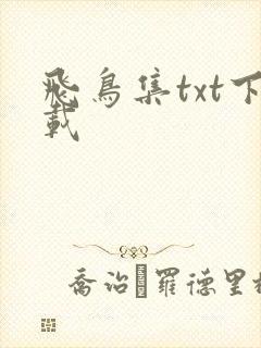 飞鸟集txt下载