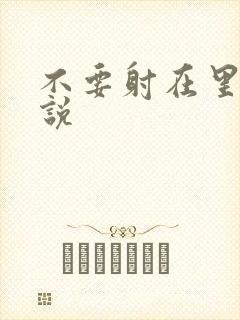 不要射在里面小说