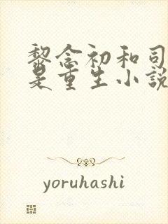 黎念初和司慕城是重生小说