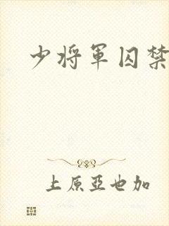 少将军囚禁我